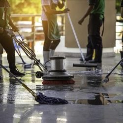 10966-ff100e8a-3d6a-43f9-8411-db0226bcc2ab